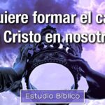 Descubriendo el carácter de Cristo en la Biblia